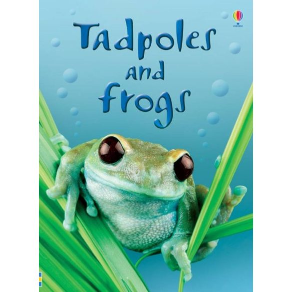 Beginners - Tadpoles and frogs