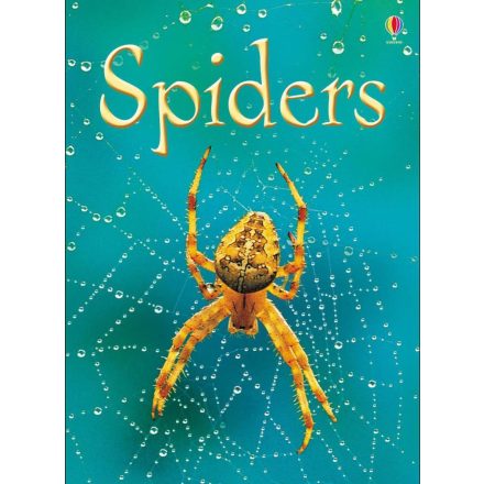 Beginners - Spiders
