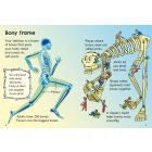 Beginners - Your Body 