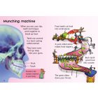 Beginners - Your Body 