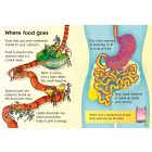 Beginners - Your Body 