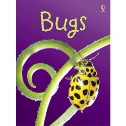 Beginners - Bugs