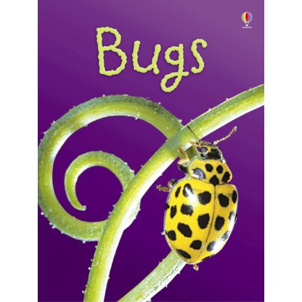 Beginners - Bugs