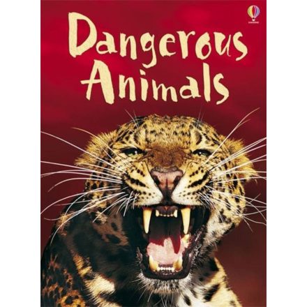 Beginners - Dangerous animals