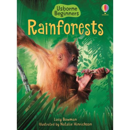 Beginners - Rainforests