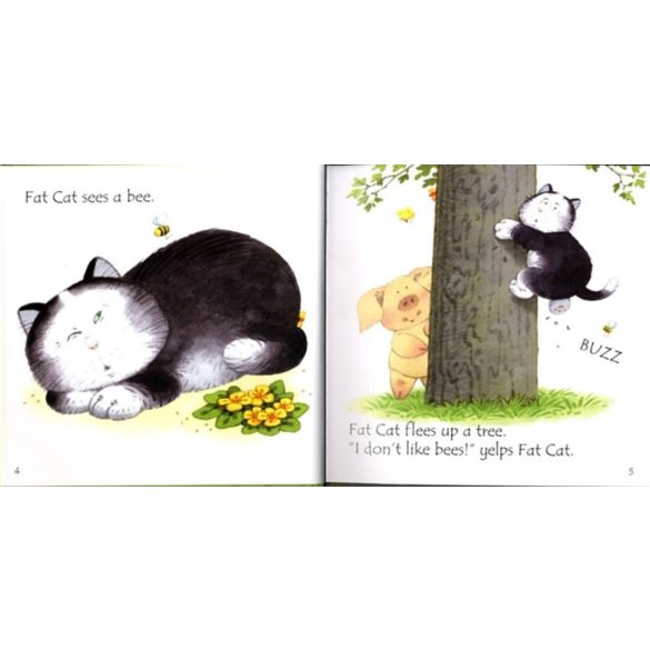 Fat Cat On a Mat And Other Tales, With CD