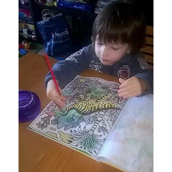 Dinosaurs magic painting book