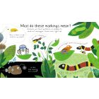 How Do Animals Talk?