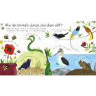 How Do Animals Talk?