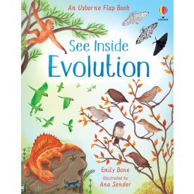 See Inside Evolution