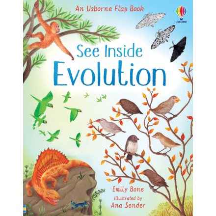 See Inside Evolution