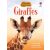 Giraffes