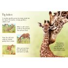 Giraffes