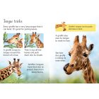 Giraffes