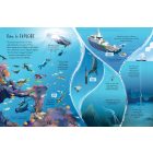 See Inside Oceans