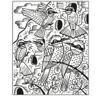 Birds Magic Painting Book