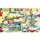 Usborne Book of the Body and How it Works
