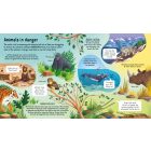 Look Inside Animals in Danger