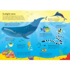 Book and Jigsaw Oceans