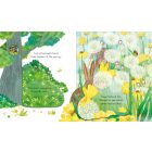 Peep Inside Springtime