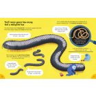 Lots of Things to Know About Bugs