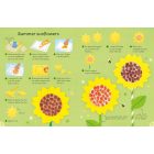 Summer things to make and do