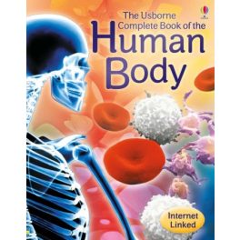 Human body
