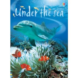 Under the sea