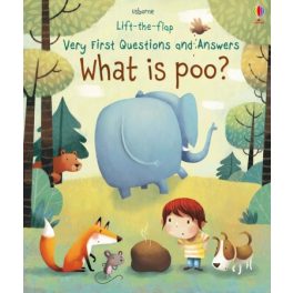 Very first questions and answers